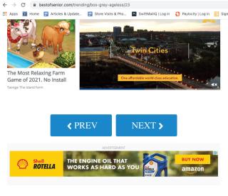 graphical user interface, website