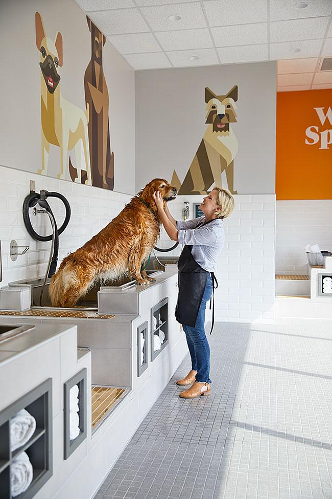 Petco Looks to the Future with PetCoach Learning Lab Path to Purchase IQ